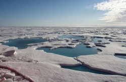 Дания претендует на Северный полюс